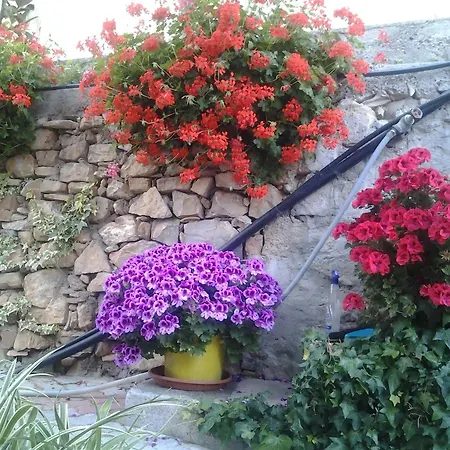 Casa Vacanze Natali Cipressa